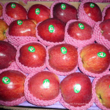 New Crop Huaniu Apple